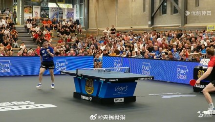 迷和业内人 迷和业内人